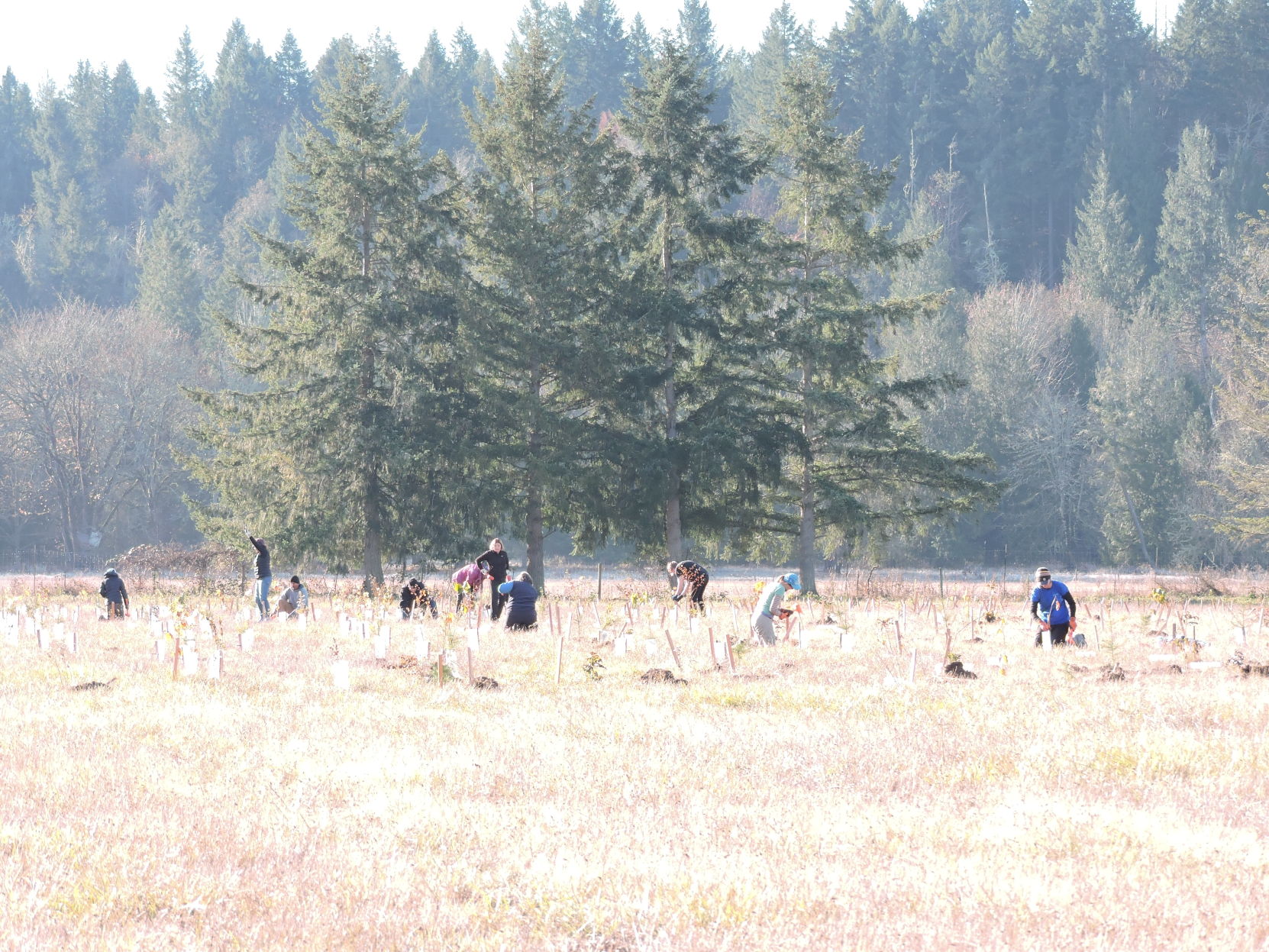 14 In the distance 2.JPG